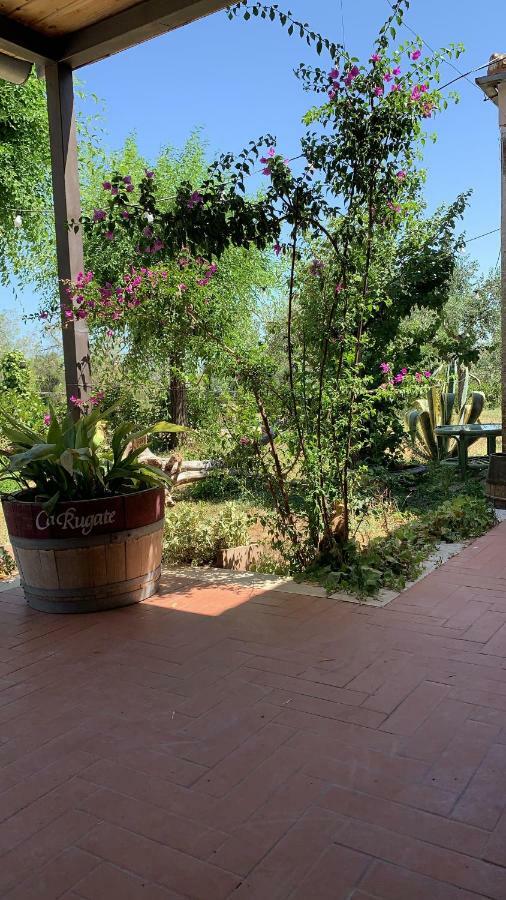 Signor Cesare Agrobistrot B&B San Giovanni Rotondo Exterior foto
